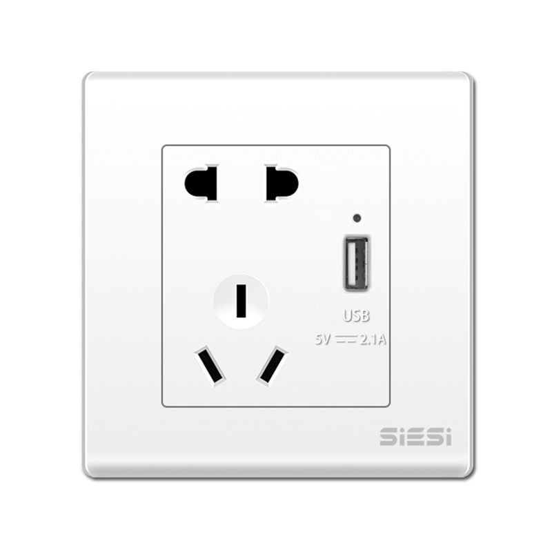 10A 浜屼笁鏋佹彃搴у甫USB