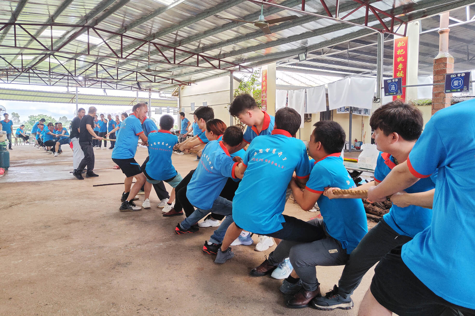S36沙龙会 - 要玩就玩沙龙会